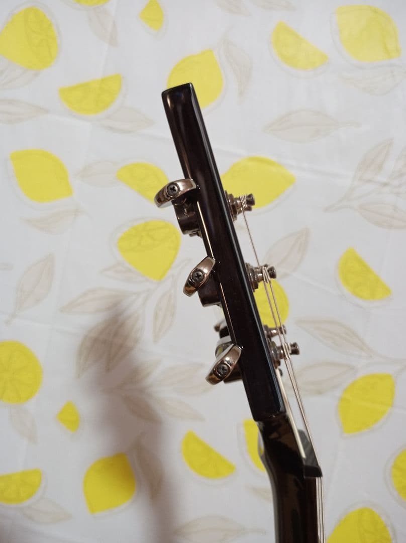 ギター Daisy Rock Stardust Elite Midnight Burst