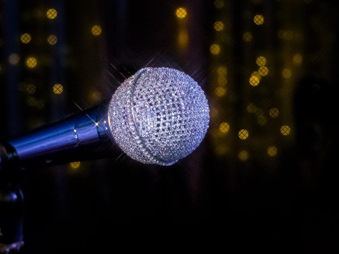 X'MAS SALE 中島美嘉 SHURE SM58 スワロ ジルコニア