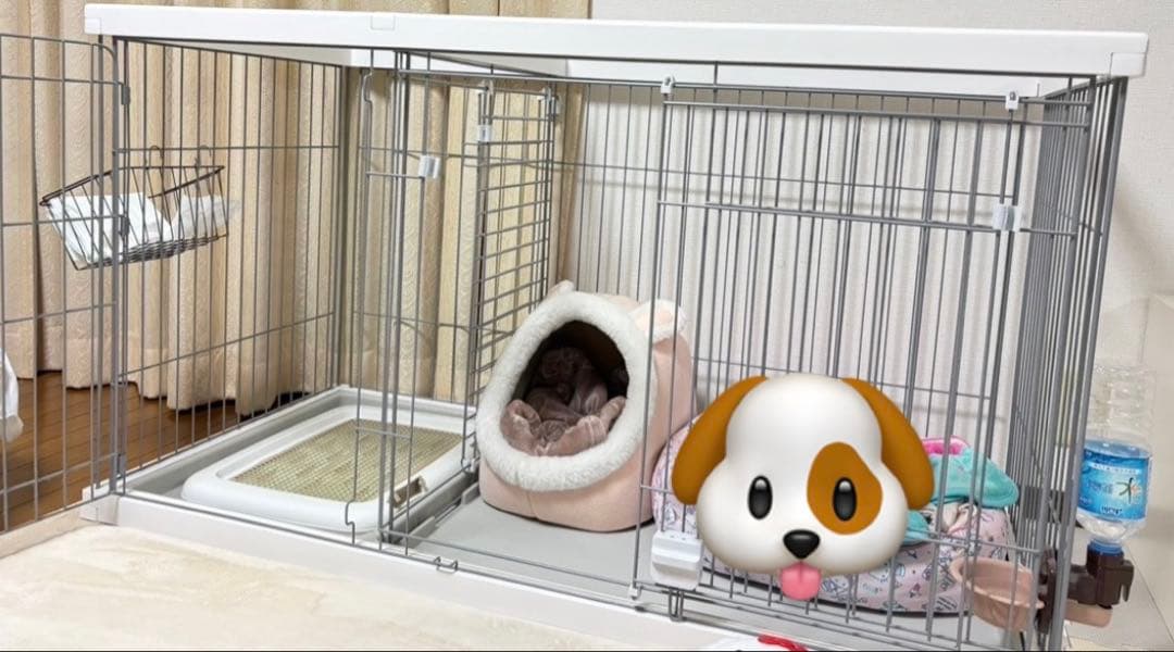 ペティオ トイレのしつけが出来る ドッグルームサークル ホワイト ワイドサイズ