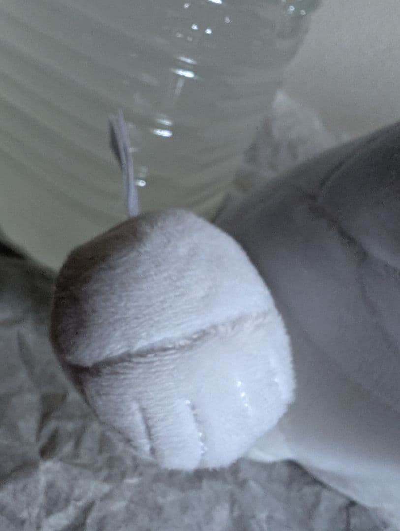 新品オルセー美術館のポンポン　シロクマ　ぬいぐるみ　グッズ　後ろ姿もかわいい