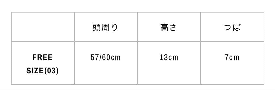 WILDSIDE × THE H.W. DOG & CO. CAP タグ付き
