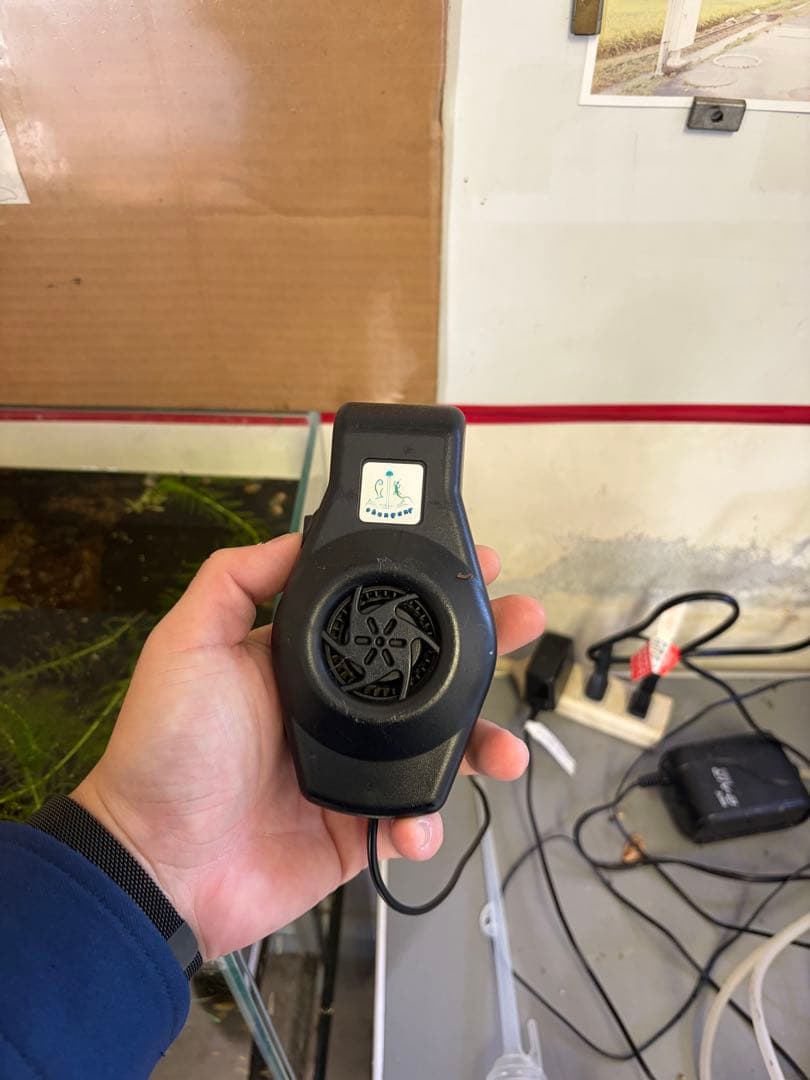 対面受け渡し限定‼️ オーバーフロー水槽　熱帯魚　濾過槽　ポンプ・流木・ろ材付き