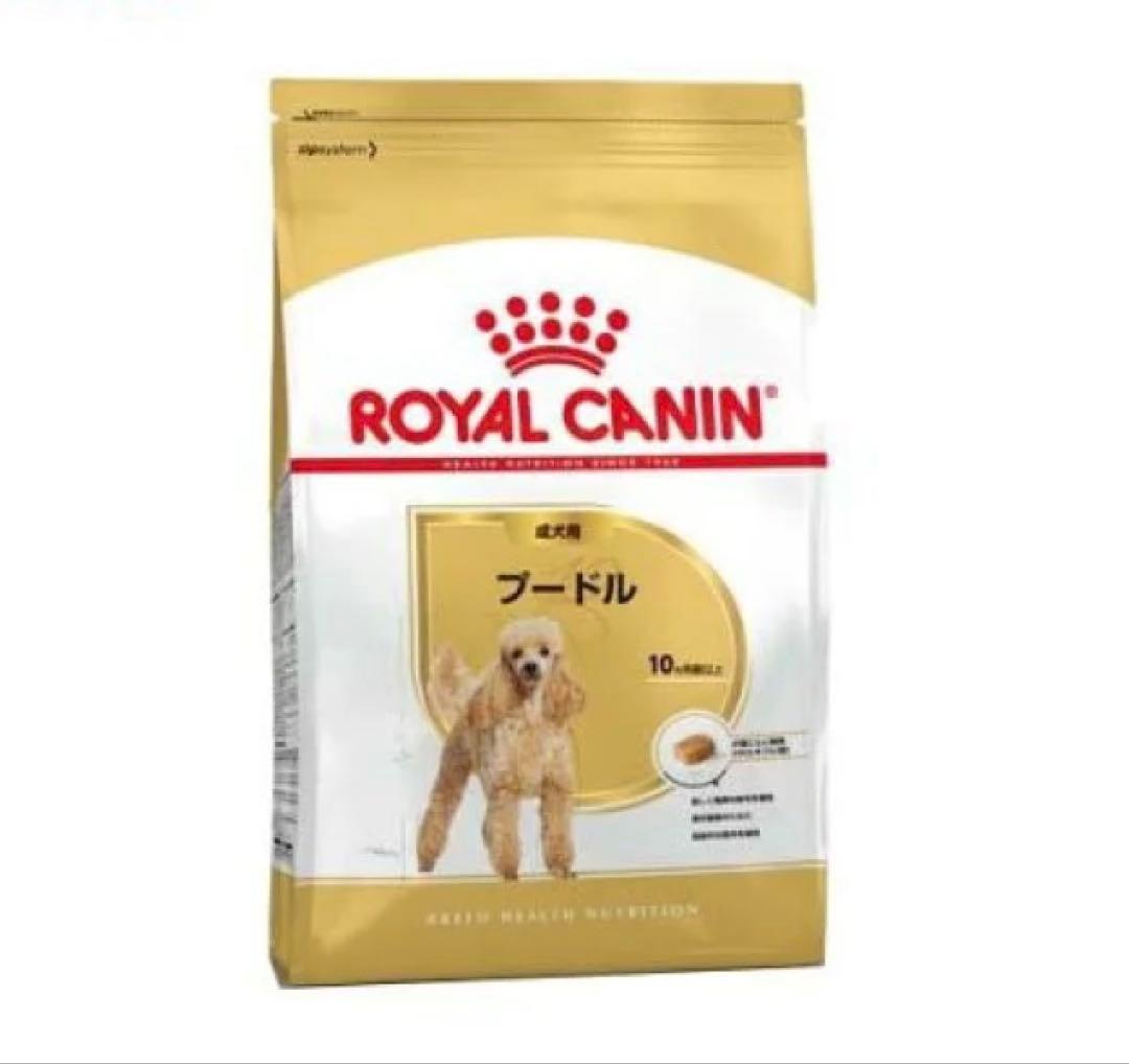 値下げ！ CANIN プードル 7.5kg ドッグフード