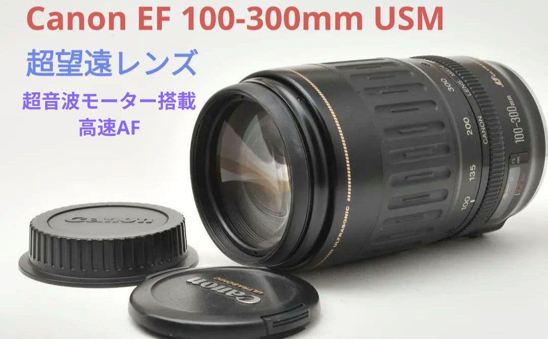 4月4日限定価格♪Canon EF 100-300mm USM