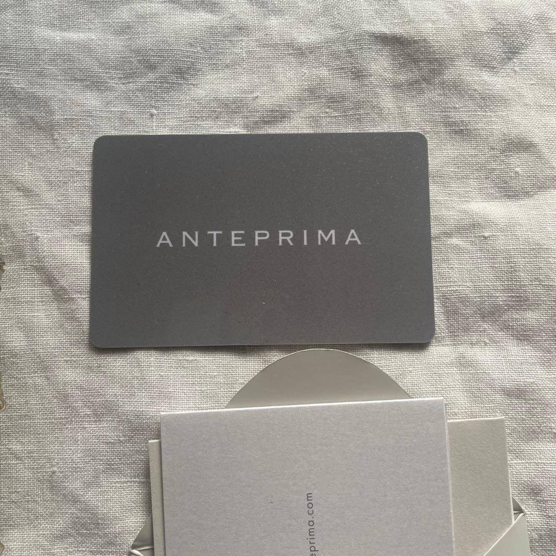ANTERIMA アンテプリマ　ワイヤーバック　美品　シャンパンゴールド