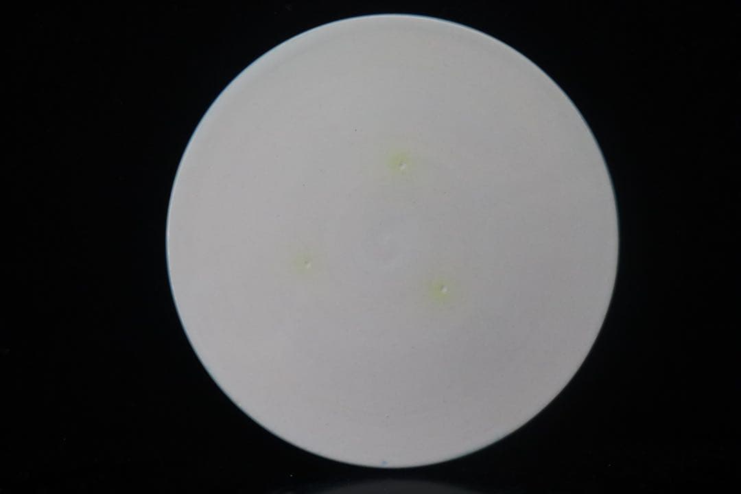 二代中村翠嵐 浅黄交趾牡丹唐草 皆具 共箱 共布 茶道具 保証品