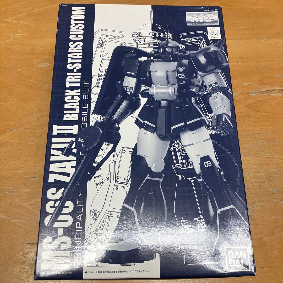 MG マスターグレード　黒い三連星　ザク　ver.2.0 ガンダム　ガンプラ