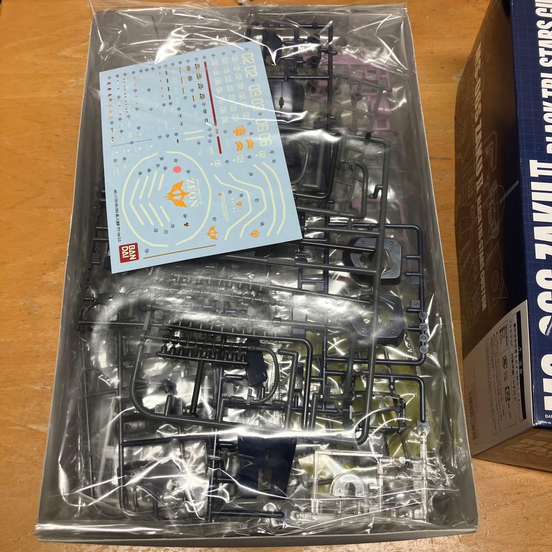 MG マスターグレード　黒い三連星　ザク　ver.2.0 ガンダム　ガンプラ