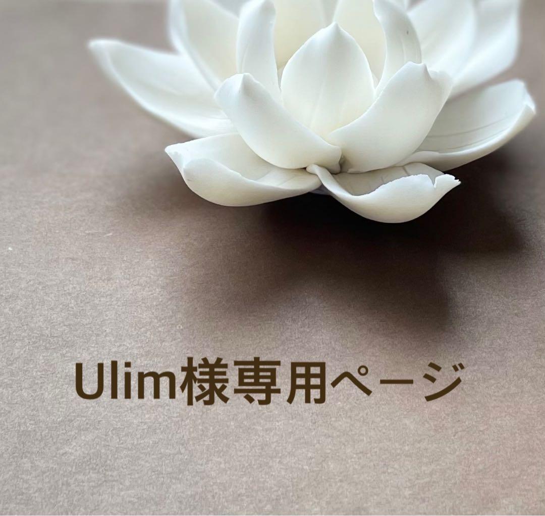 『緑癒』エメラルドのマクラメペンダントネックレス