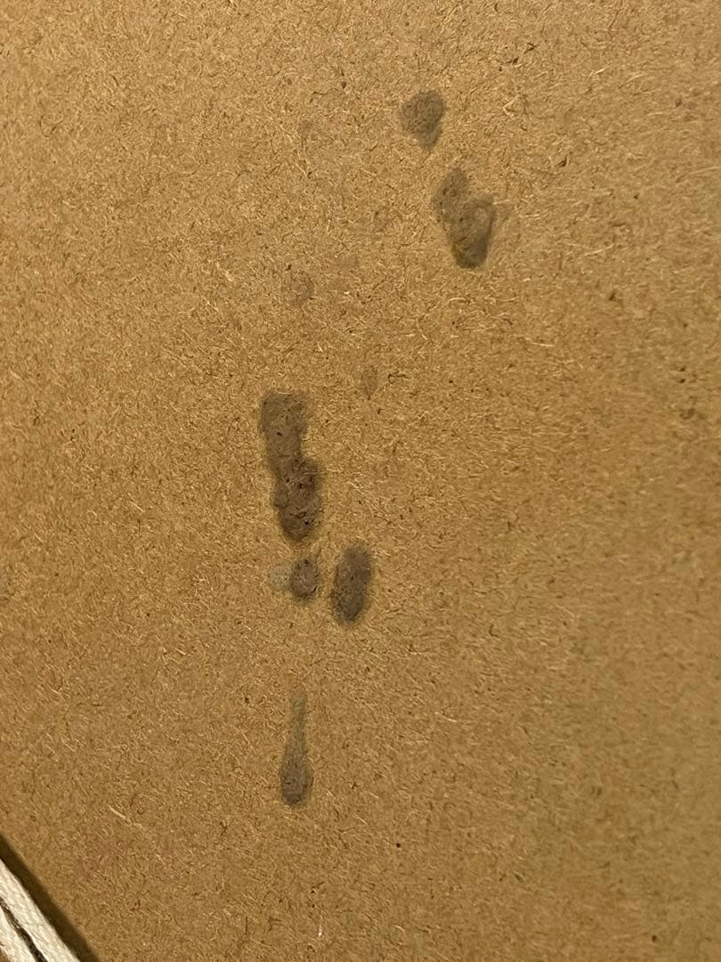 【sumi】藤城清治！ほたるこい！6月！レフグラフ！世界限定品！