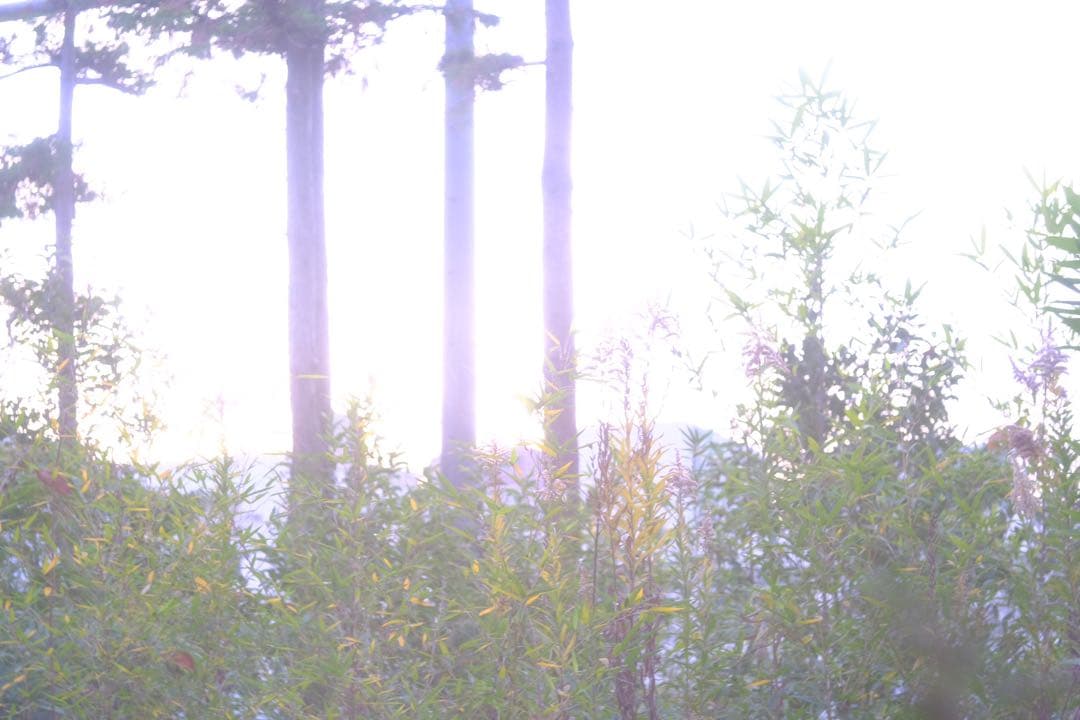 レンズ(単焦点) Taylor Hobson COOKESPEED PANCHRO 24mm f2