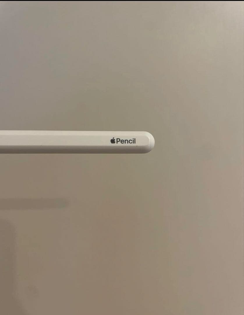 iPad pro 12.9(第4世代)Wi-Fiモデル 128GB