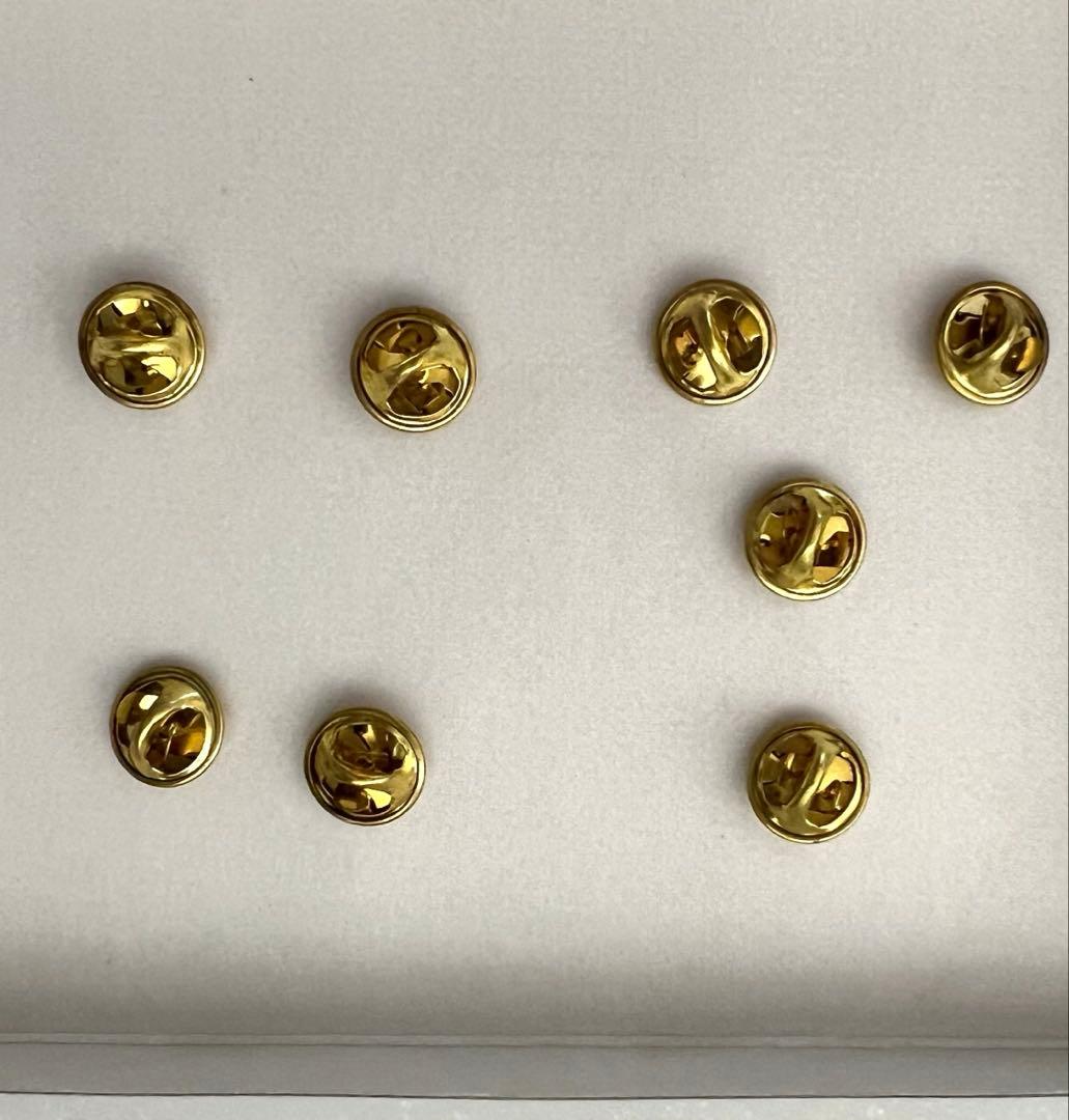 ディズニーストア限定 ラタトゥイユ ピンバッジ LE500 箱付