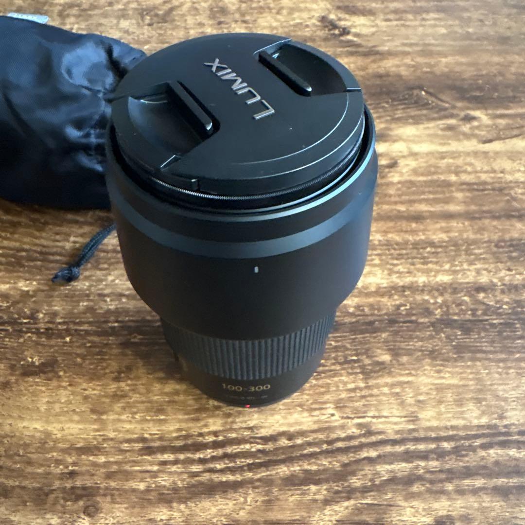 Panasonic H-FS100300 100-300mm ズームレンズ