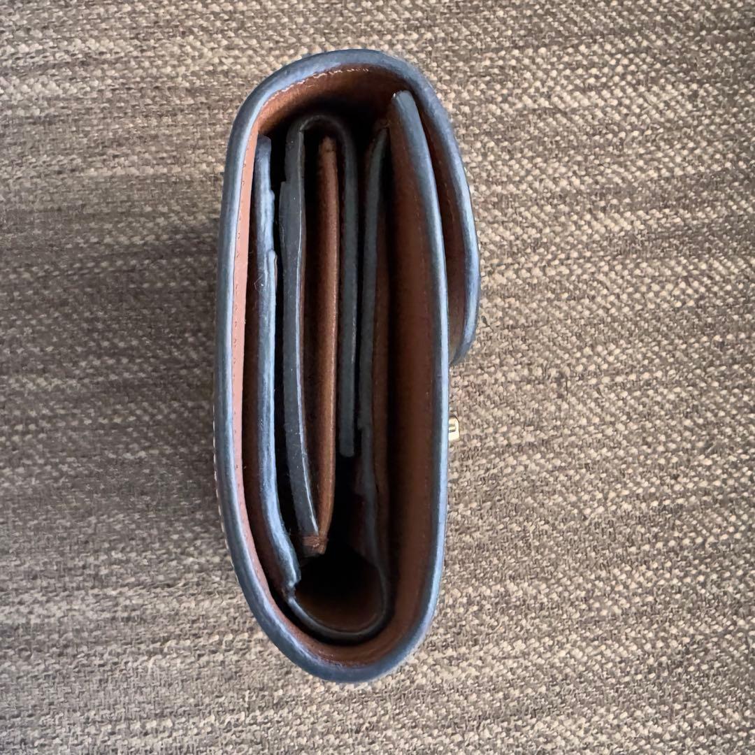 セリーヌ　トリオンフ / テキスタイル＆カーフスキン