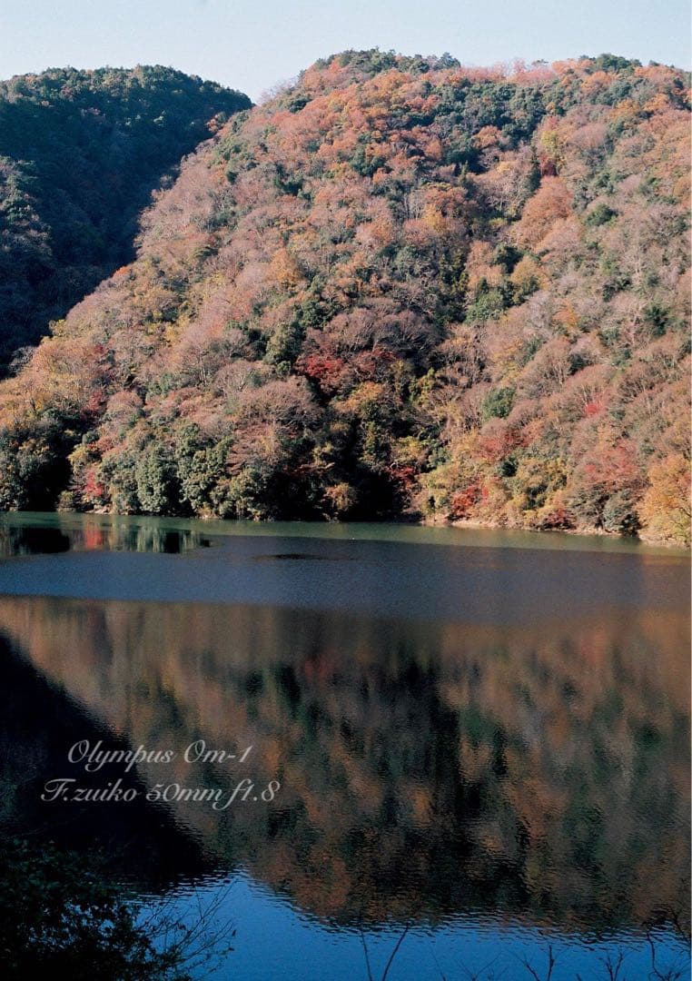 ★入門に★OLYMPUS OM-1/レンズセット★完動品＊美品＊初期保証