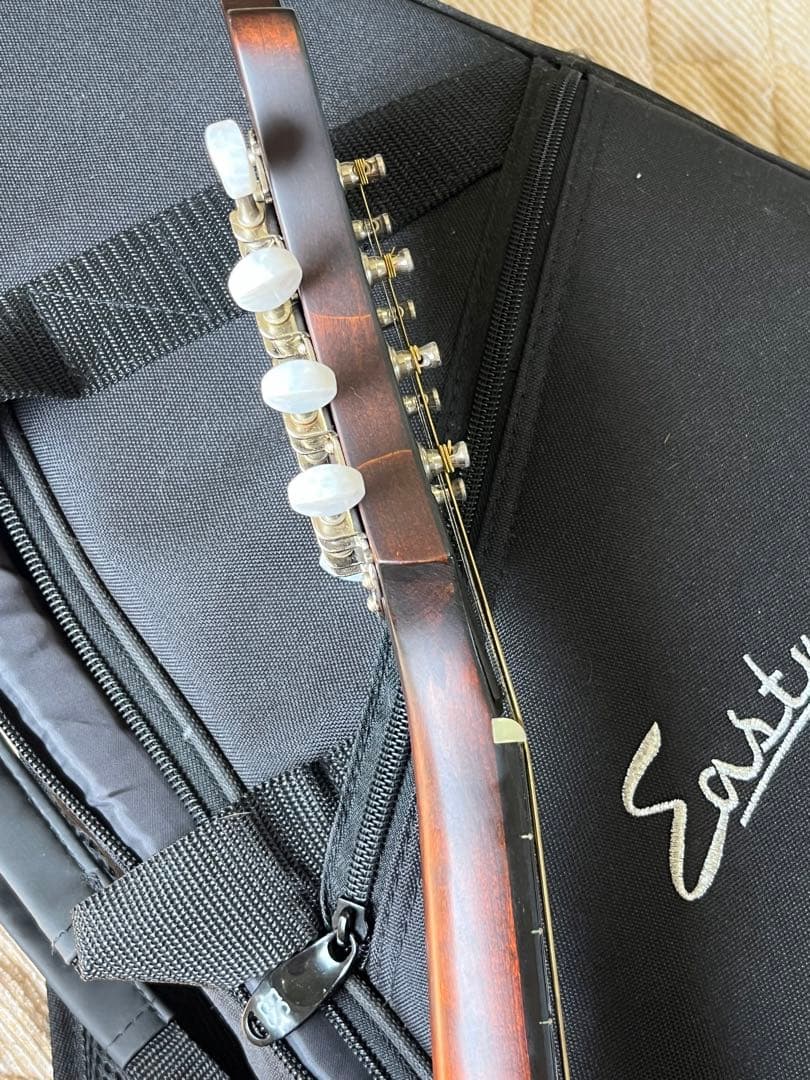 た*ん様 Eastman MD314 イーストマン フラットマンドリン