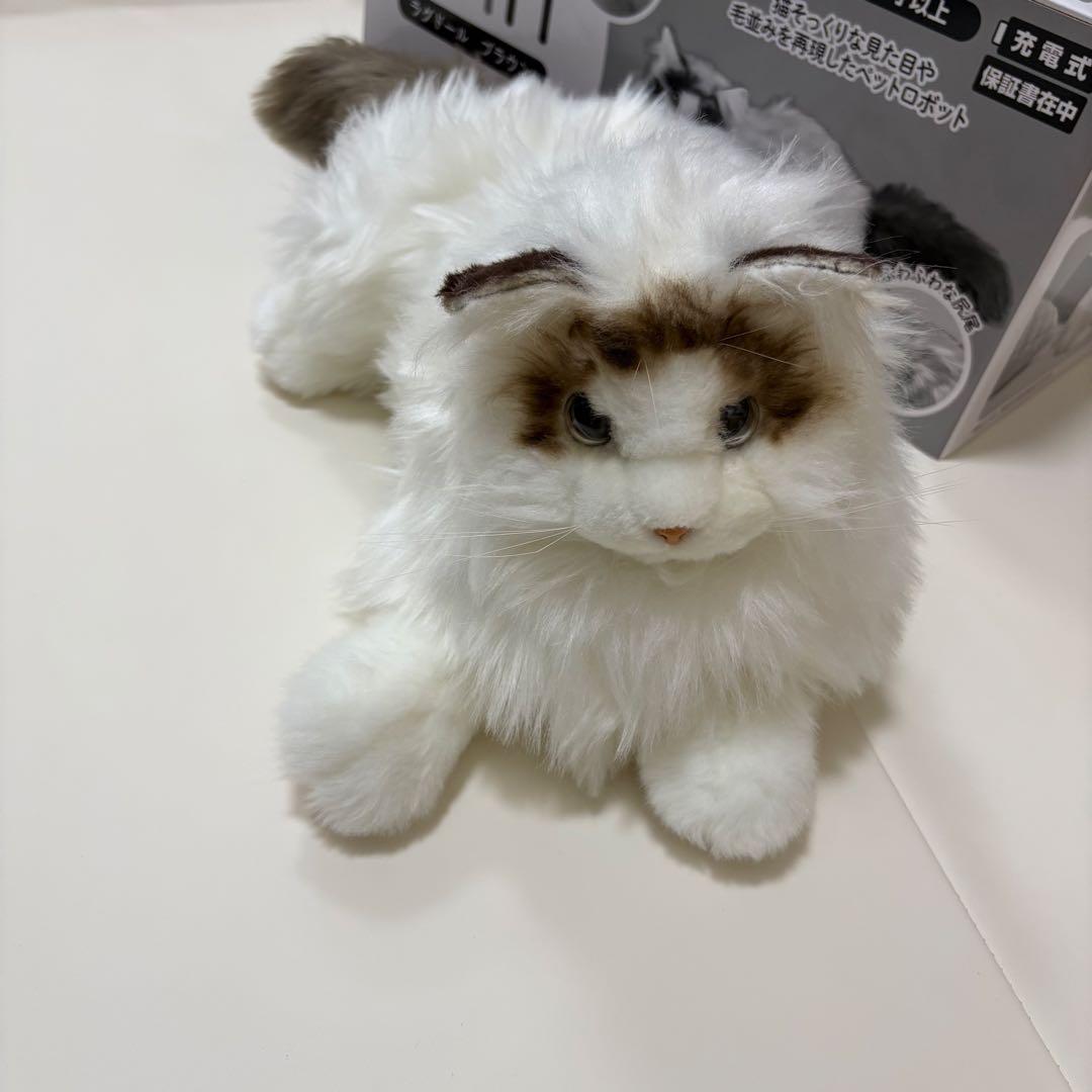 KIMIT ラグドール(ブラウン) ペットロボット 極美品