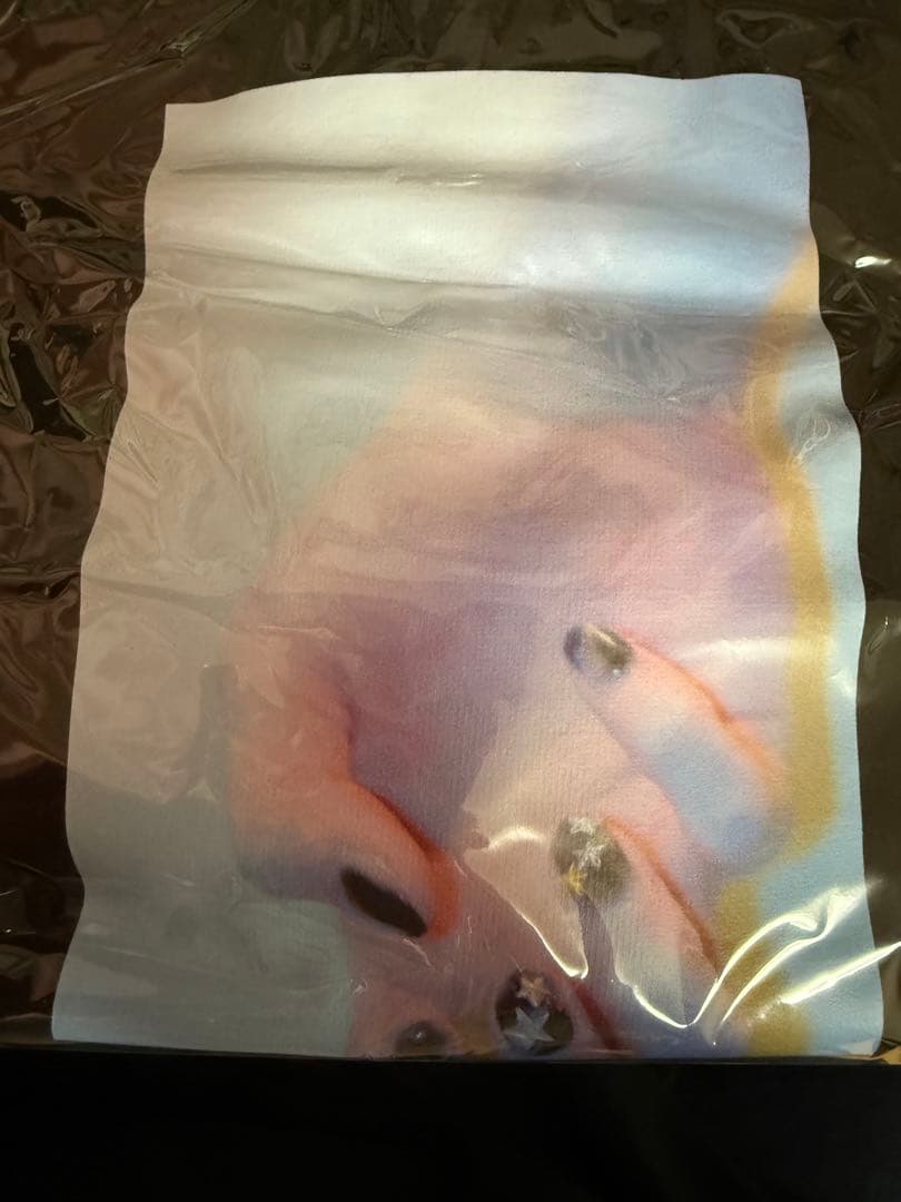 お値下げ！！トキキルTシャツ 超学生