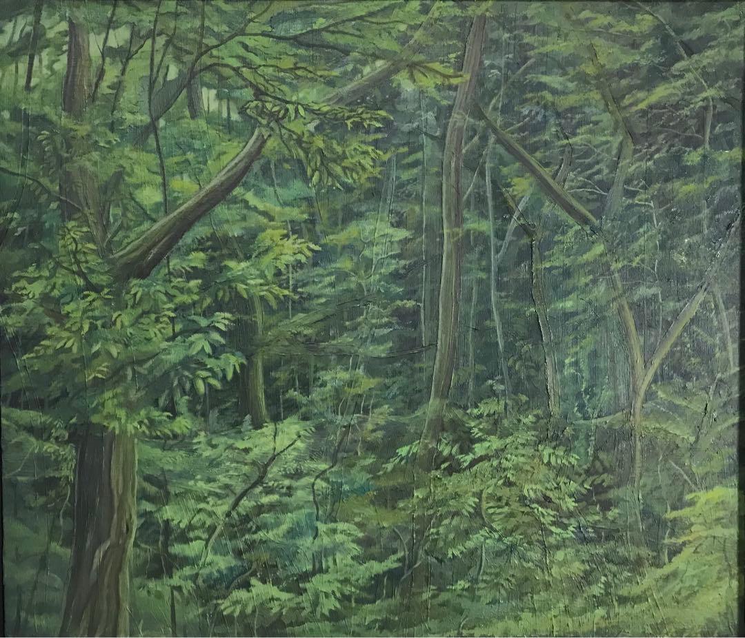 森の絵　油絵　サイズF10号　サイン付き
