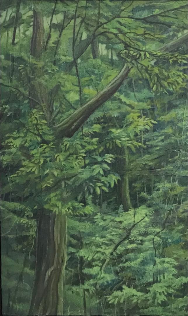 森の絵　油絵　サイズF10号　サイン付き