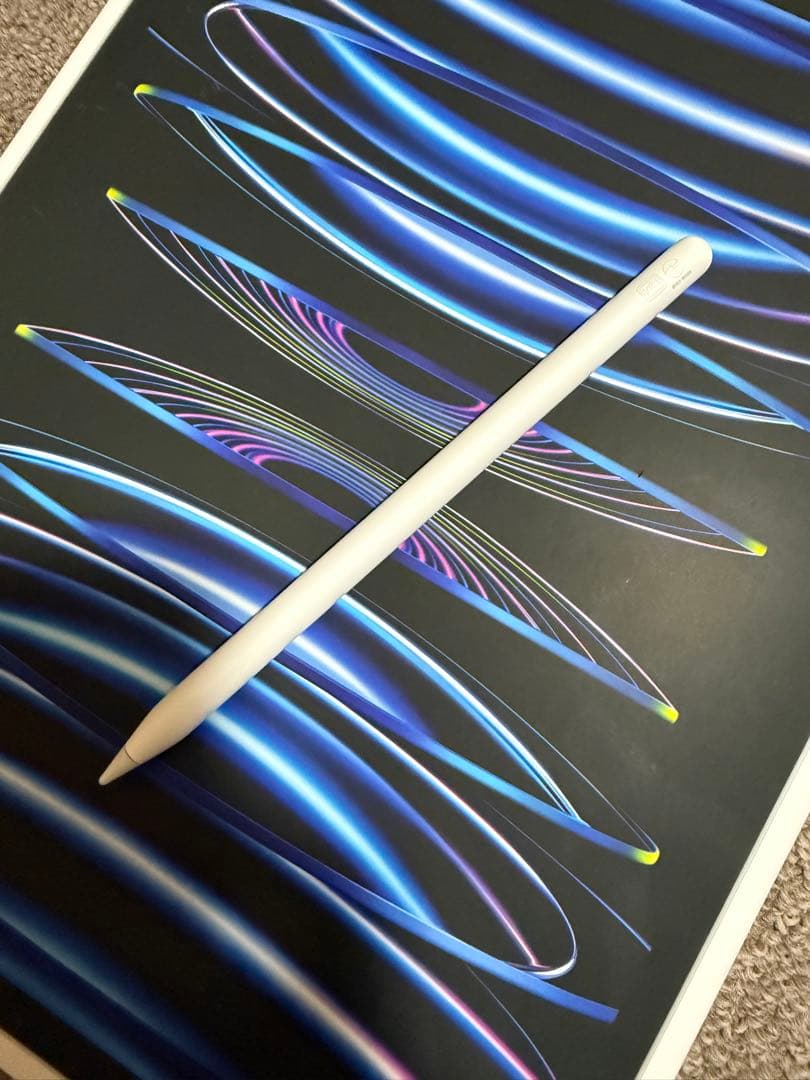 iPad Pro 12.9 第6世代 256GB Wi-Fiバッテリー100%