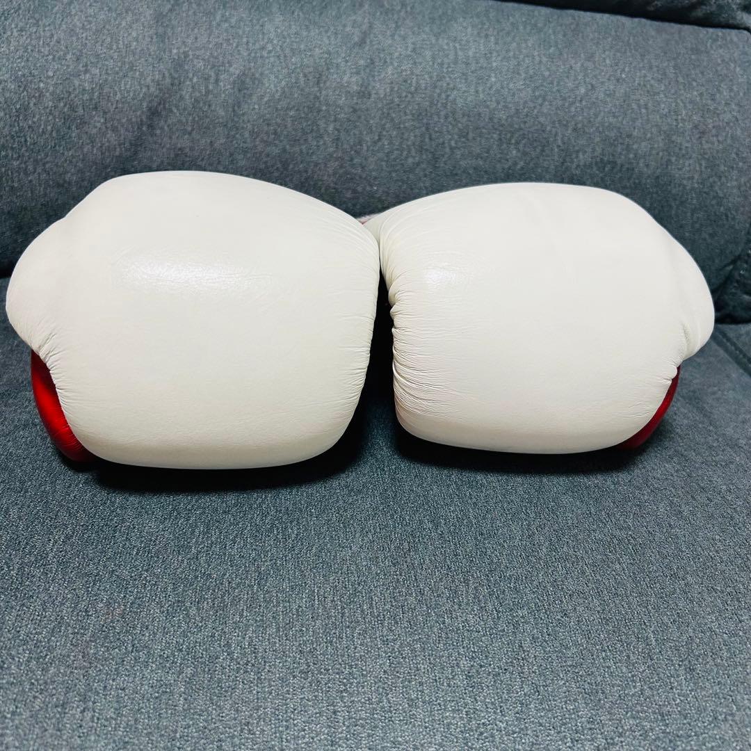 RISE ボクシンググローブ 10oz (美品)