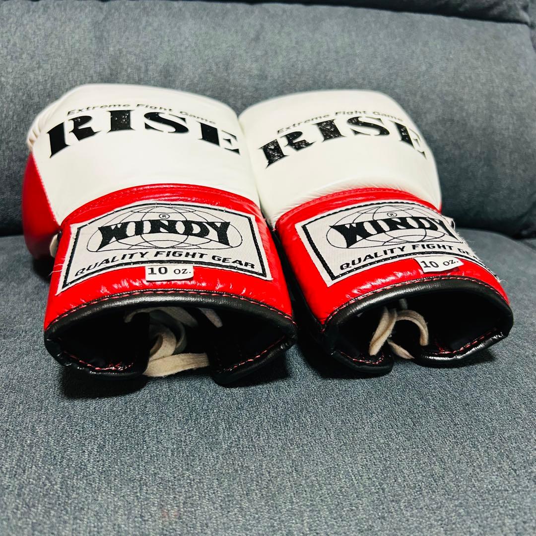 RISE ボクシンググローブ 10oz (美品)