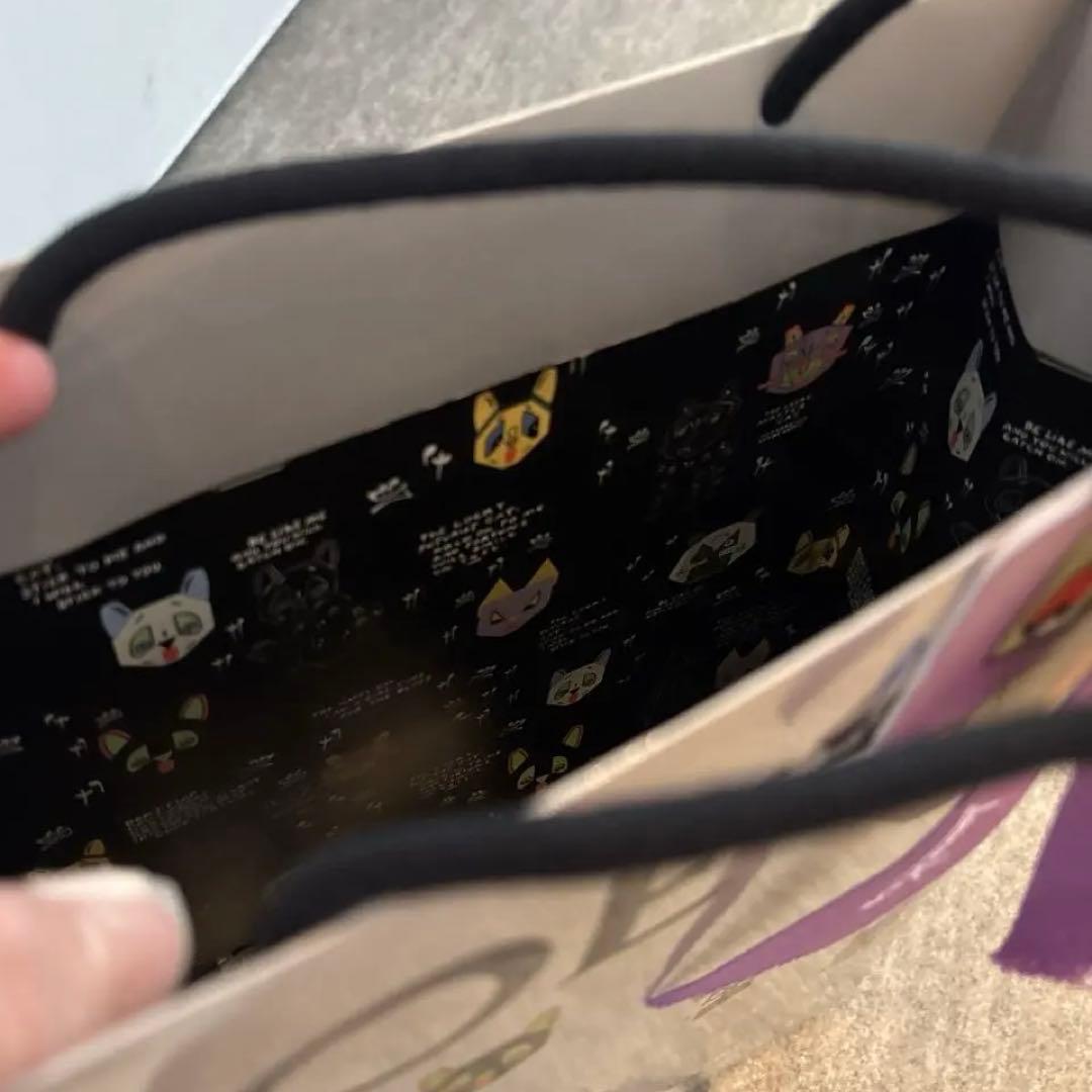 極美品　LOEWE ロエベ　ノート　Louis Wain ルイスウェイン