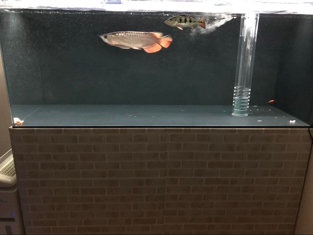 まーとん様。専用ページ