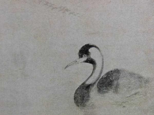 俵屋宗達、蓮池水禽図、超希少・大判画集画、新品高級額装付