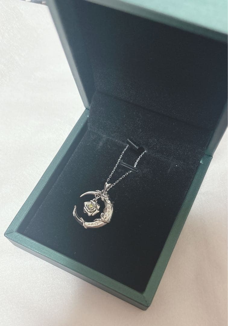 ✧ うらたぬき シルバーネックレス ✧