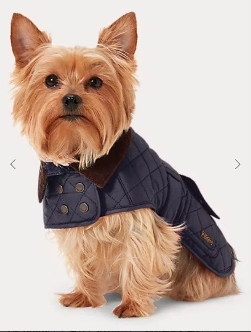 【専用】新品未使用Polo Ralph Lauren ドッグウェア キルティング