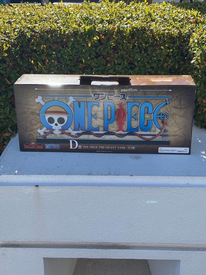 【箱小ダメージ】ワンピース　一番くじ　D賞 ギガントネーム