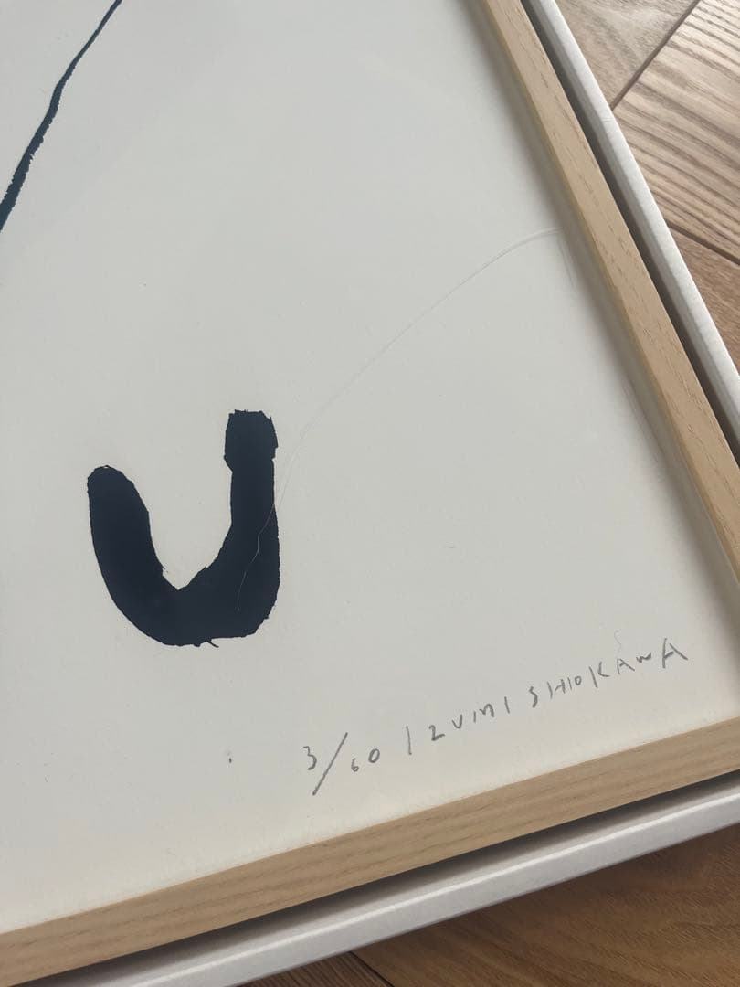 IZUMI SHIOKAWA 塩川いづみ 額装　シルクスクリーンポスター　YOU