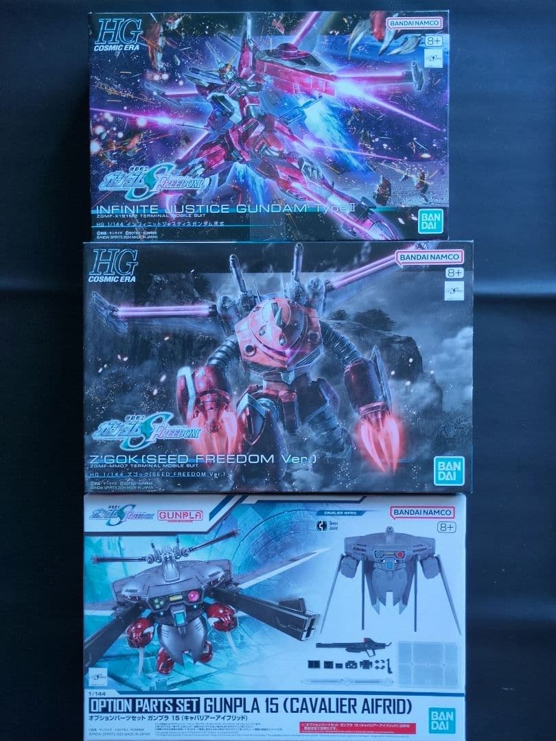 HG ズゴック キャバリアーアイフリッド 　インフィニットジャスティス弐式