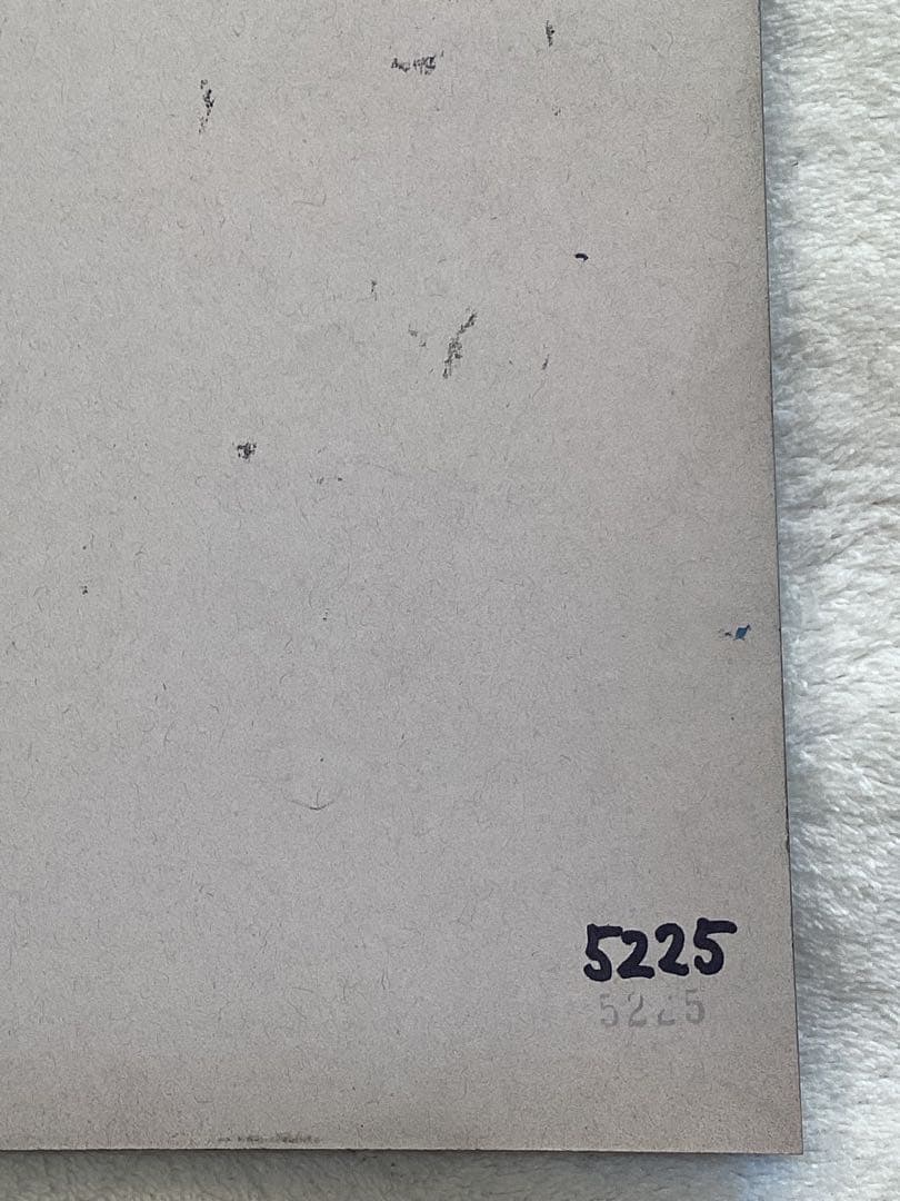 スプレーアートエデン　原画　B4サイズ　虎