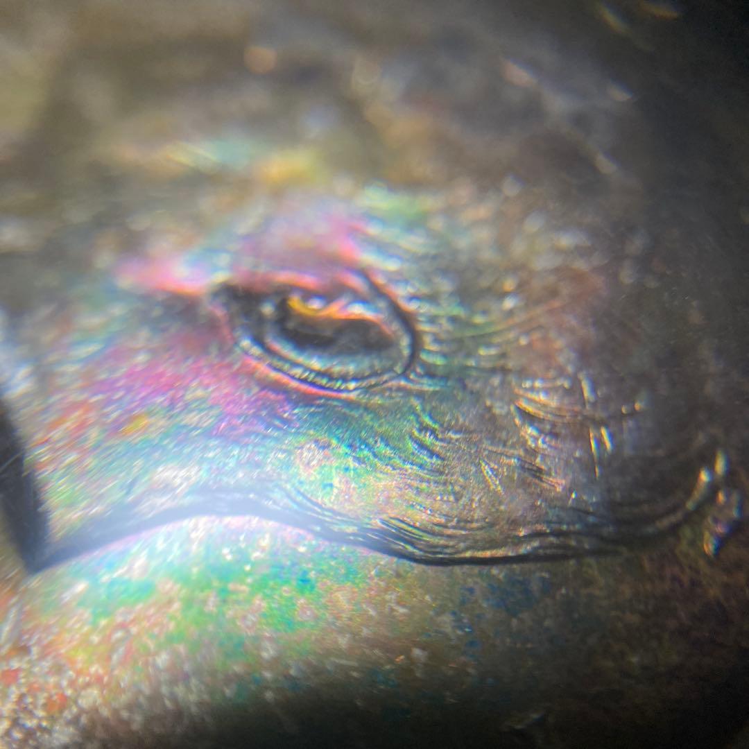 PCGS NCG 銀貨　アンティーク　古銭