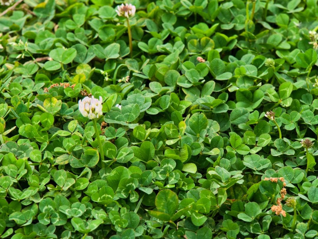 【美品】LUMIX G VARIO 14-140mm 高倍率ズーム 動作品