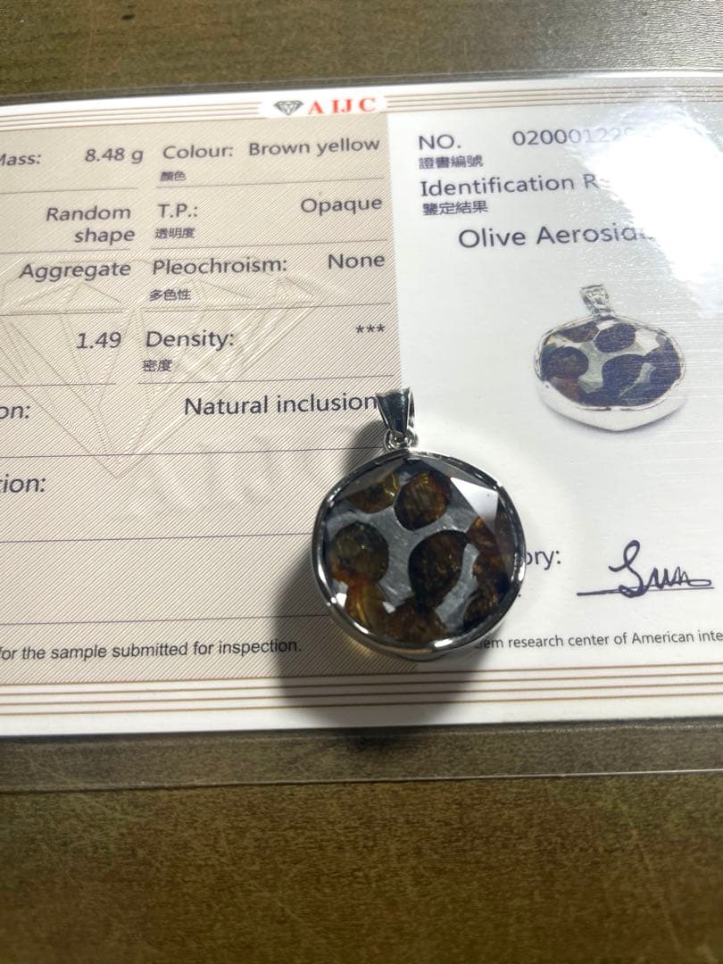 【新入荷】パラサイト隕石ペンダントトップ（新品未使用）鑑定書付き六芒星セリコ隕石