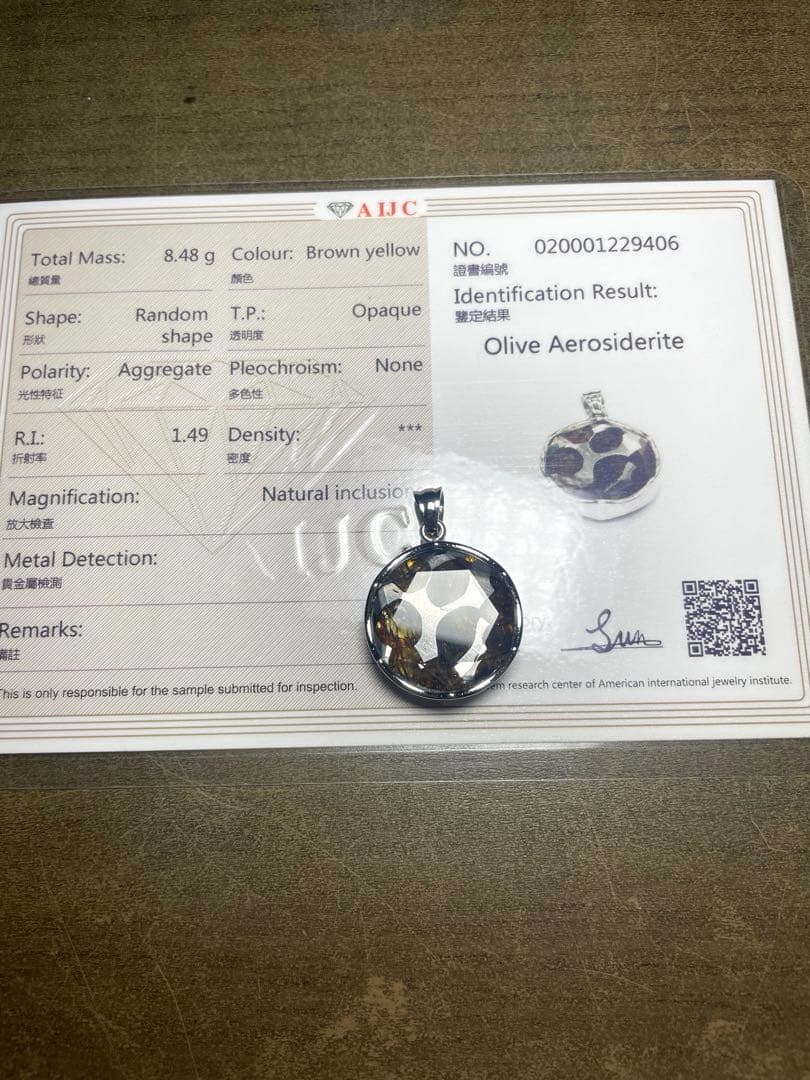 【新入荷】パラサイト隕石ペンダントトップ（新品未使用）鑑定書付き六芒星セリコ隕石