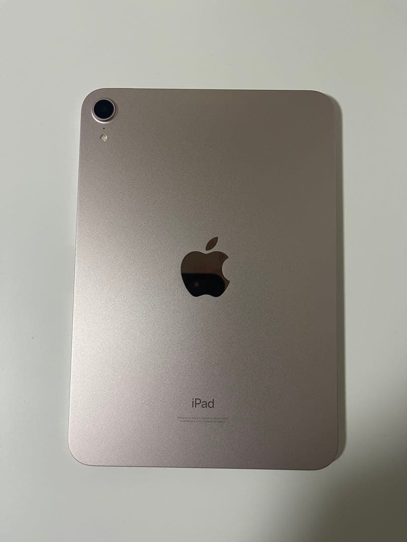 iPad mini ローズゴールド + Apple Pencil+ケース