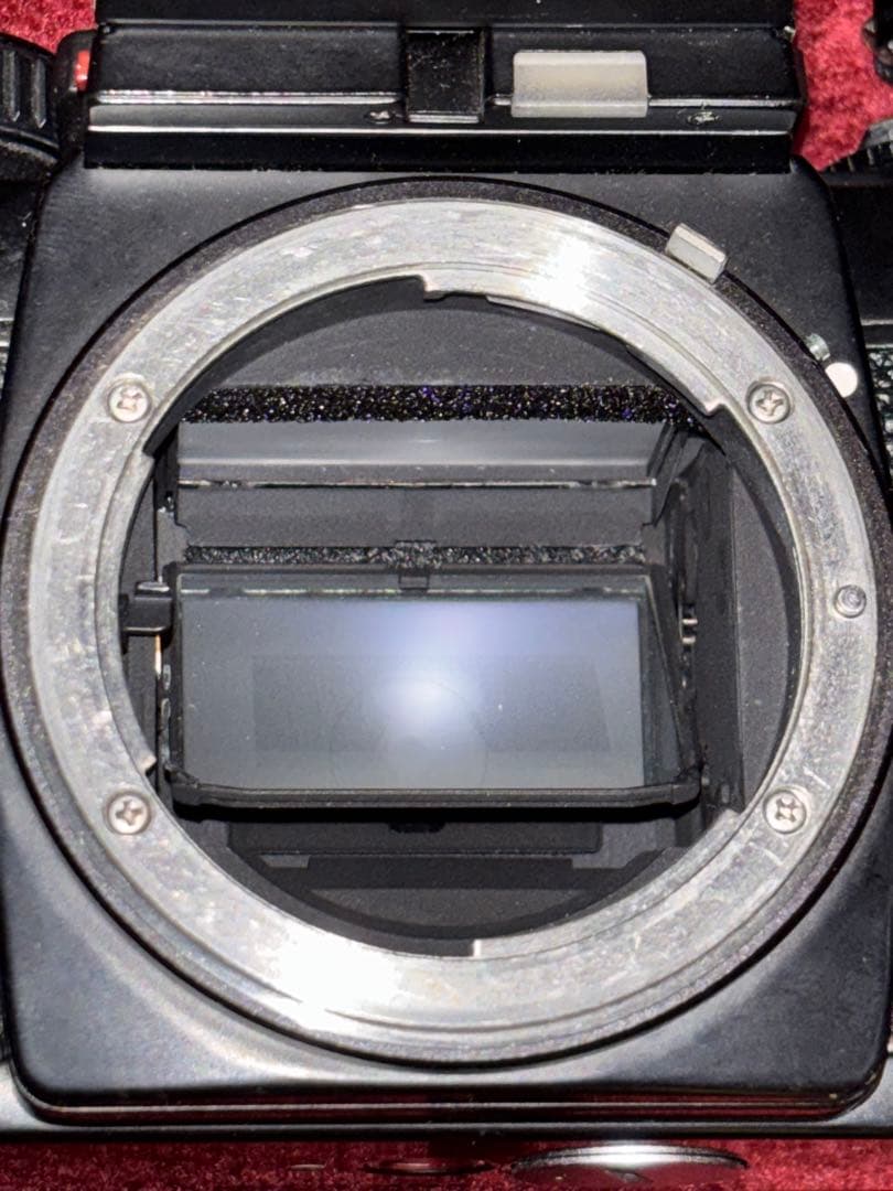 フィルムカメラ Nikon f3/50mm 1:1.4