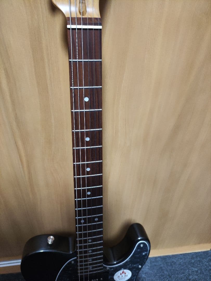 Bacchus バッカス BTE-2 RSM/R-BPPG Gun-M