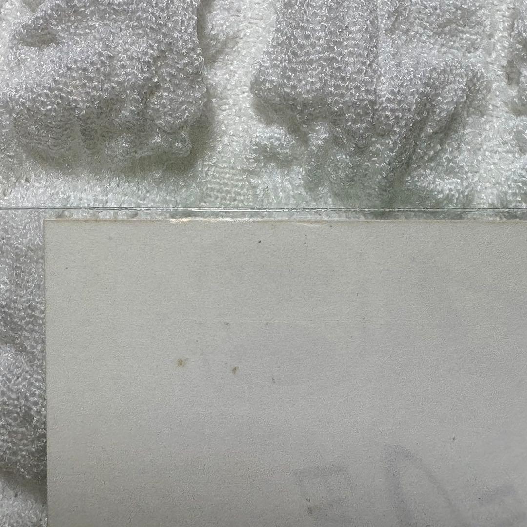 【レア】私立恵比寿中学 2018年 キリ番 サイン