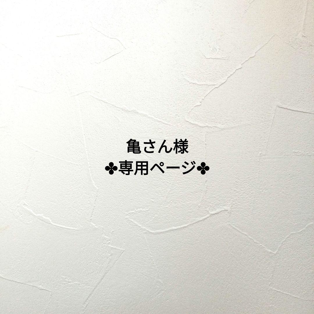 亀さん様✤専用ページ✤