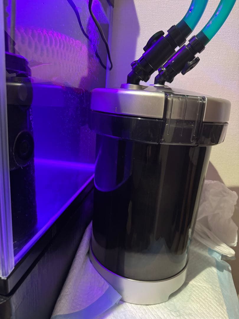 大きなガラス水槽 LED照明付き