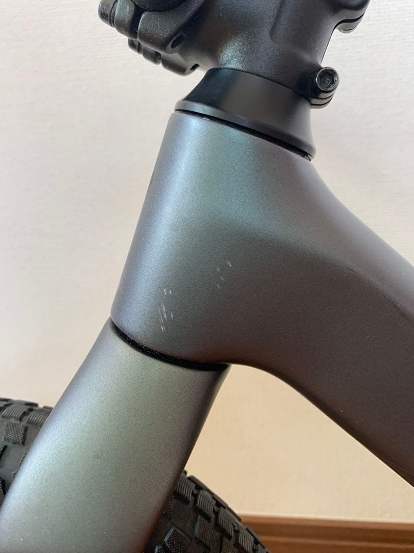 自転車本体 SPECIALIZED HOTWALK CARBON