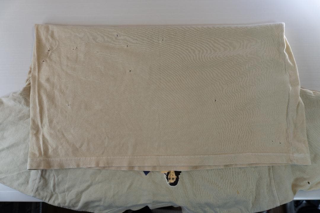 AVIREX Tシャツ　7.62mm弾跡