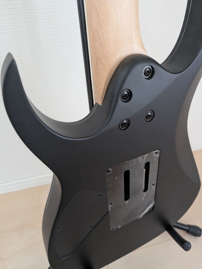 【美品】Ibanez 7弦ギター RG7320EX-BKF アイバニーズ